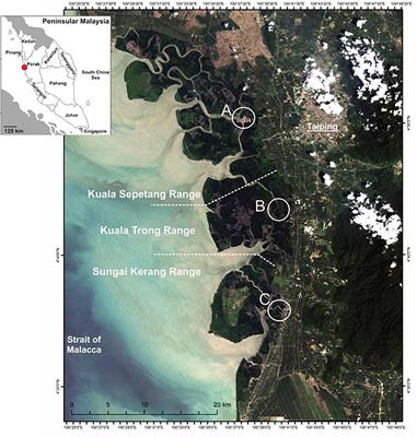 Mangroves Fueling Livelihoods: A Socio-Economic Stakeholder Analysis of the Charcoal and Pole Production Systems in the World’s Longest Managed Mangrove Forest